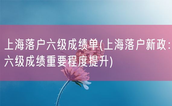 上海落户六级成绩单(上海落户新政：六级成绩重要程度提升)