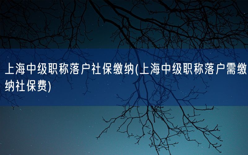 上海中级职称落户社保缴纳(上海中级职称落户需缴纳社保费)