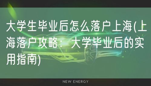 大学生毕业后怎么落户上海(上海落户攻略：大学毕业后的实用指南)