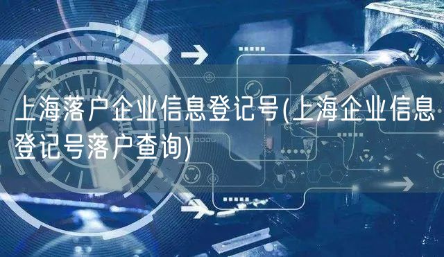 上海落户企业信息登记号(上海企业信息登记号落户查询)