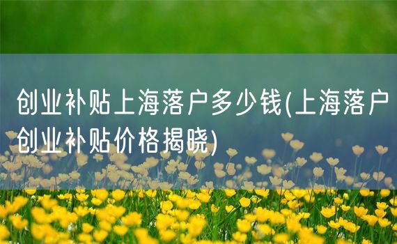 创业补贴上海落户多少钱(上海落户创业补贴价格揭晓)