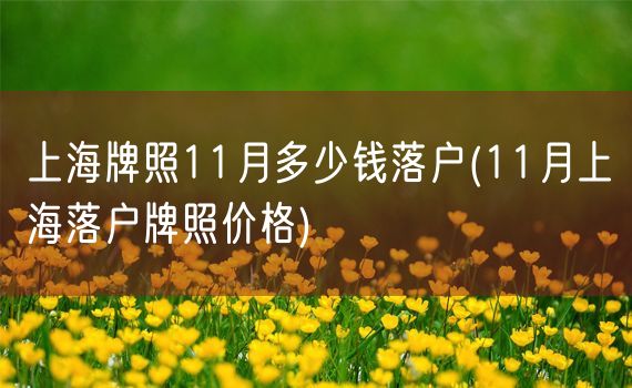 上海牌照11月多少钱落户(11月上海落户牌照价格)