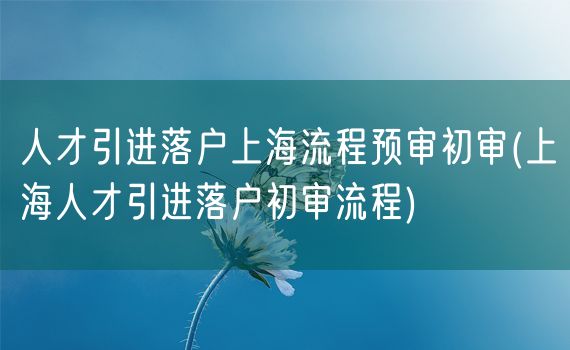 人才引进落户上海流程预审初审(上海人才引进落户初审流程)