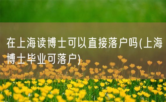 在上海读博士可以直接落户吗(上海博士毕业可落户)