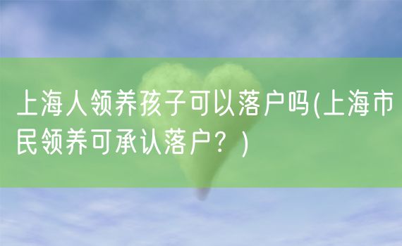 上海人领养孩子可以落户吗(上海市民领养可承认落户？)