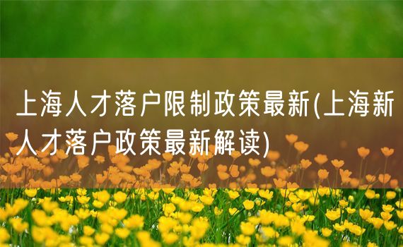 上海人才落户限制政策最新(上海新人才落户政策最新解读)