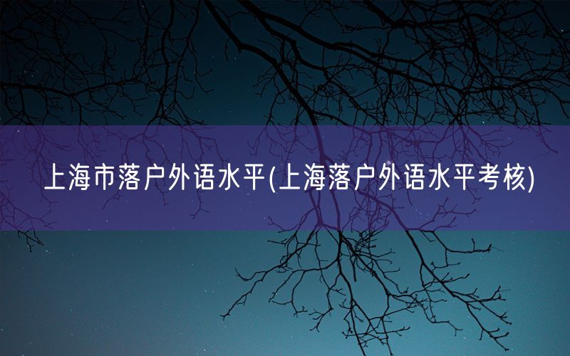 上海市落户外语水平(上海落户外语水平考核)