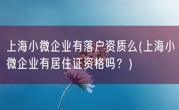 上海小微企业有落户资质么(上海小微企业有居住证资格吗？)