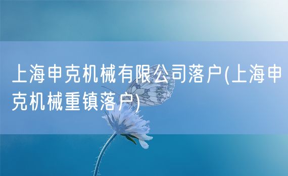 上海申克机械有限公司落户(上海申克机械重镇落户)