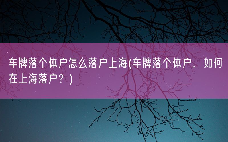 车牌落个体户怎么落户上海(车牌落个体户，如何在上海落户？)