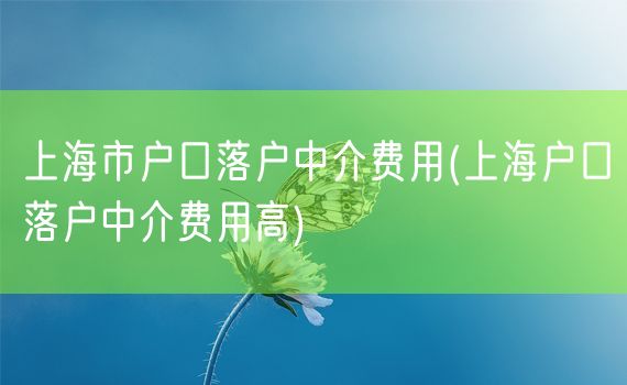 上海市户口落户中介费用(上海户口落户中介费用高)