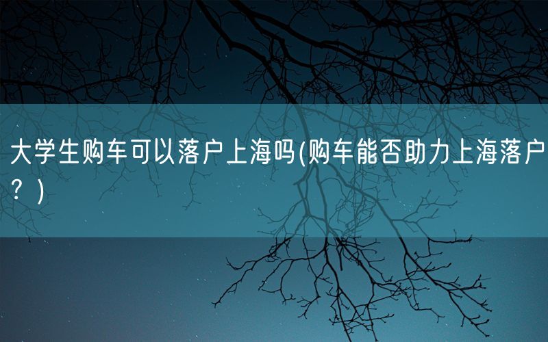 大学生购车可以落户上海吗(购车能否助力上海落户？)