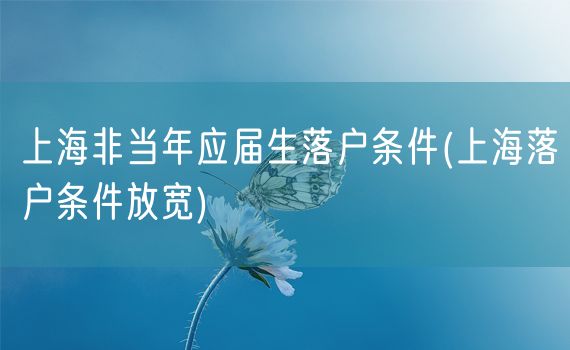 上海非当年应届生落户条件(上海落户条件放宽)