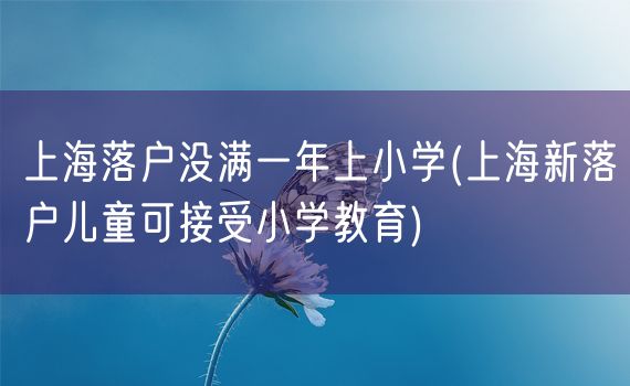 上海落户没满一年上小学(上海新落户儿童可接受小学教育)