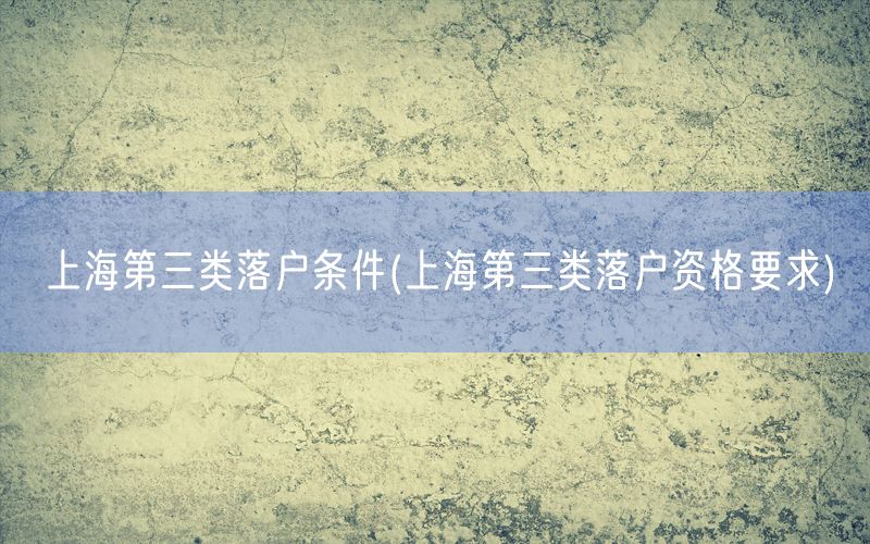 上海第三类落户条件(上海第三类落户资格要求)