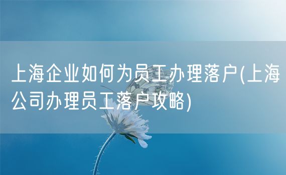 上海企业如何为员工办理落户(上海公司办理员工落户攻略)