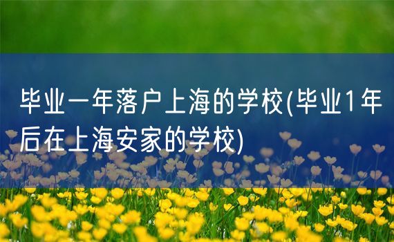 毕业一年落户上海的学校(毕业1年后在上海安家的学校)