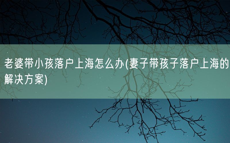 老婆带小孩落户上海怎么办(妻子带孩子落户上海的解决方案)