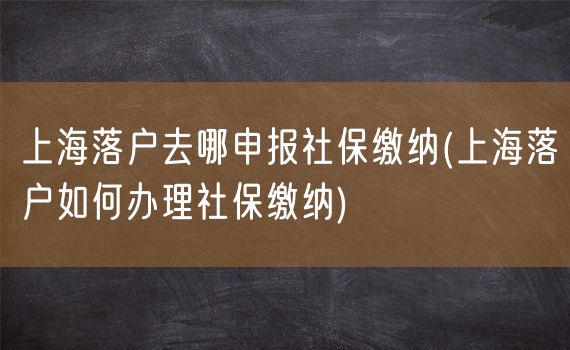 上海落户去哪申报社保缴纳(上海落户如何办理社保缴纳)