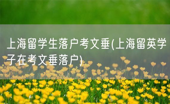 上海留学生落户考文垂(上海留英学子在考文垂落户)