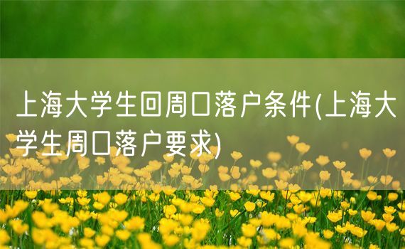 上海大学生回周口落户条件(上海大学生周口落户要求)