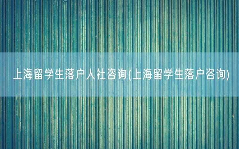 上海留学生落户人社咨询(上海留学生落户咨询)