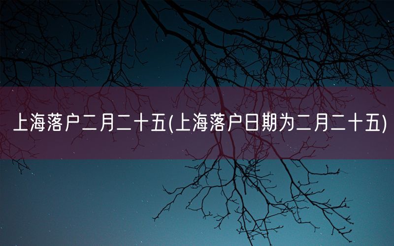 上海落户二月二十五(上海落户日期为二月二十五)