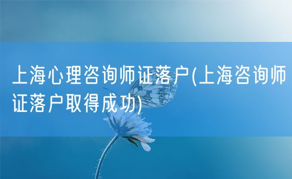 上海心理咨询师证落户(上海咨询师证落户取得成功)