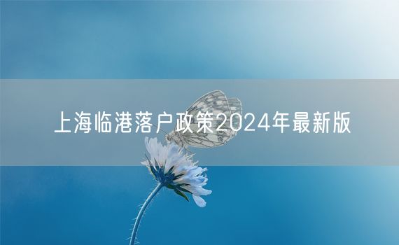 上海临港落户政策2024年最新版