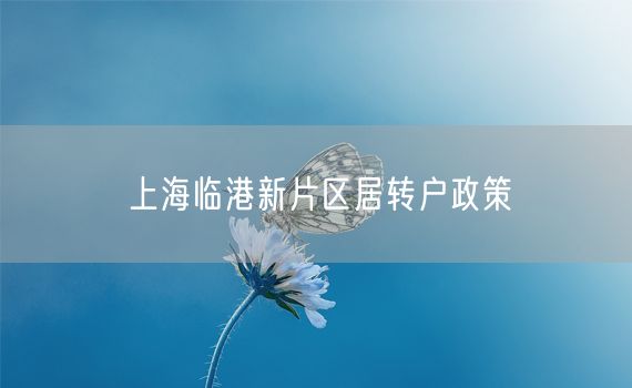 上海临港新片区居转户政策