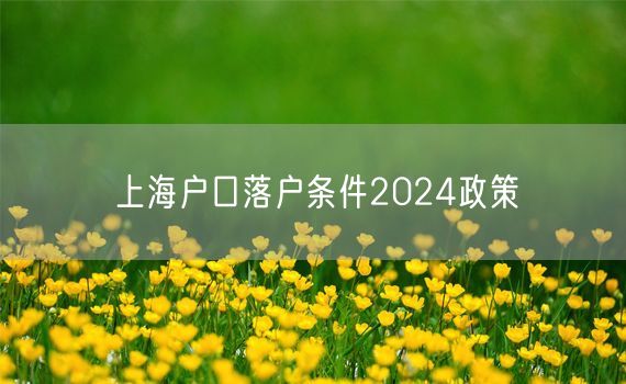 上海户口落户条件2024政策