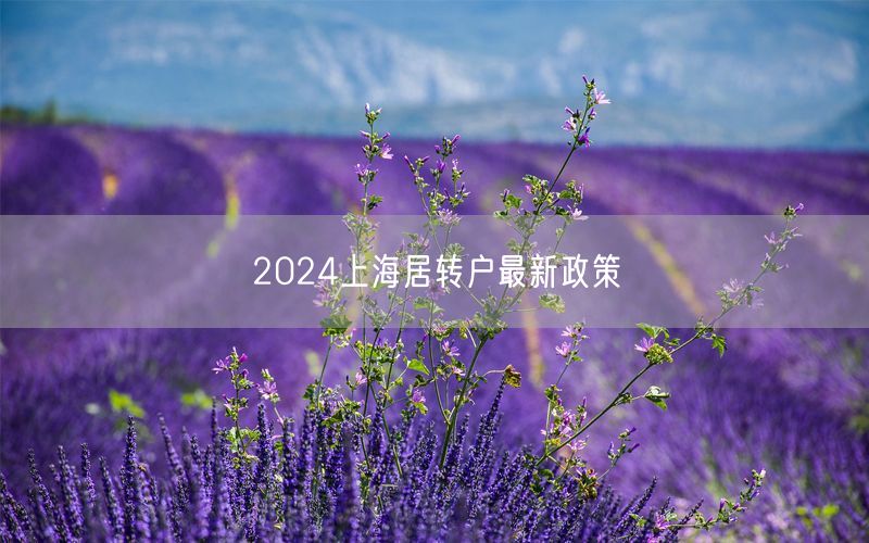 2024上海居转户最新政策