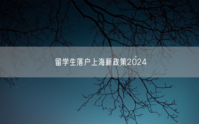 留学生落户上海新政策2024