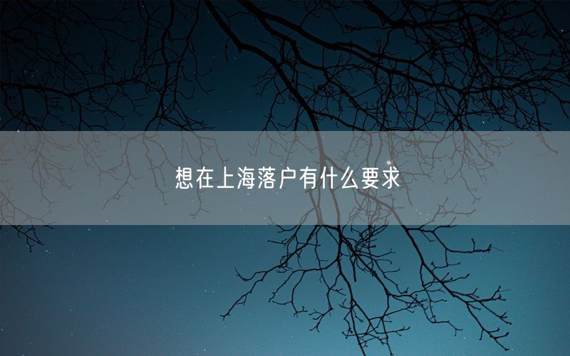 想在上海落户有什么要求